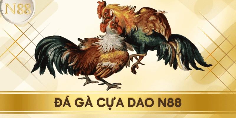 da-ga-cua-dao-n88