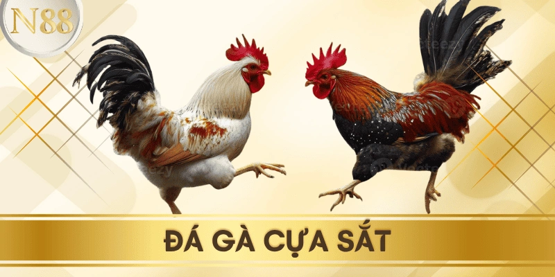 da-ga-cua-sat-N88