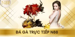 da-ga-truc-tiep-N88