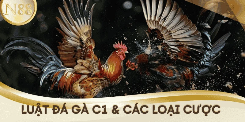 luat-da-ga-c1-cac-loai-cuoc