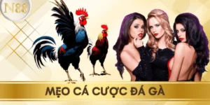 meo-ca-cuoc-da-ga