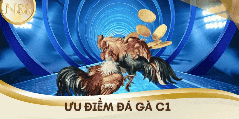 uu-diem-da-ga-c1