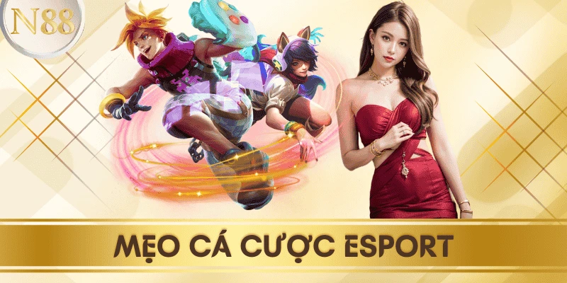 Mẹo cá cược Esport chuẩn xác: Bí quyết từ cao thủ